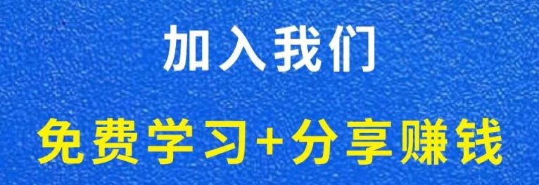 白菜价解锁20000+N个赚钱机会，加入虚拟资料库会员，全站资源免费学习。-虚拟资料库