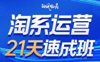 白凤电商·淘系运营21天速成班(更新8月)-虚拟资料库