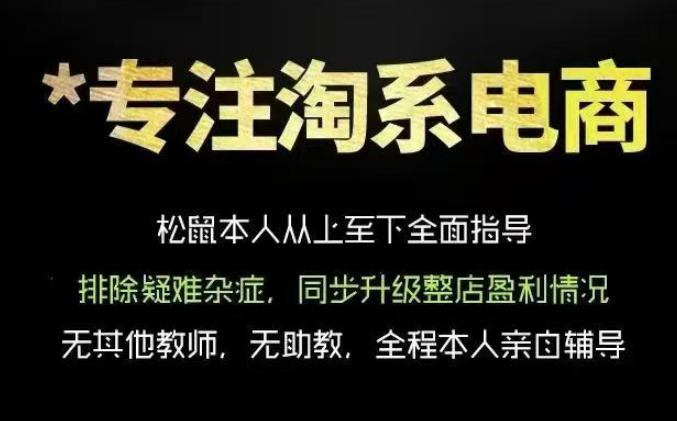 松鼠会电商VIP课程,从基础布局到高阶优化,助你掌握淘宝运营逻辑,提升店铺流量与转化(更新0910)-虚拟资料库