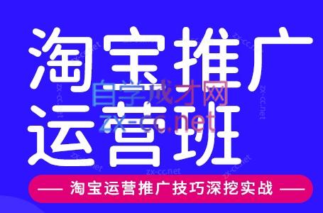 美迪电商·淘宝高级运营班+推广运营班(更新9月)-虚拟资料库