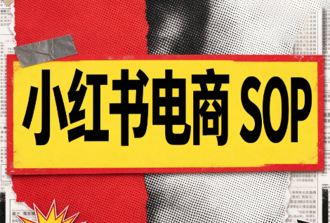 书豪必胜小红书电商sop(更新9月)-虚拟资料库