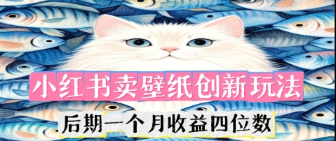 小红书卖壁纸创新玩法,后期一个月收益四位数-虚拟资料库
