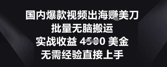 国内爆款视频出海挣美刀,批量无脑搬运,实战收益4.5k,无需经验直接上手-虚拟资料库