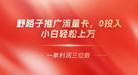 0门槛推广流量卡,一单收益上百,0投入,小白月入过W-虚拟资料库
