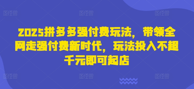 2025拼多多强付费玩法，带领全网走强付费新时代，玩法投入不超千元即可起店-虚拟资料库