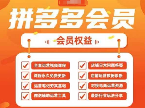2025拼多多运营实战课，40节全流程教学，覆盖拼多多运营全链路-虚拟资料库